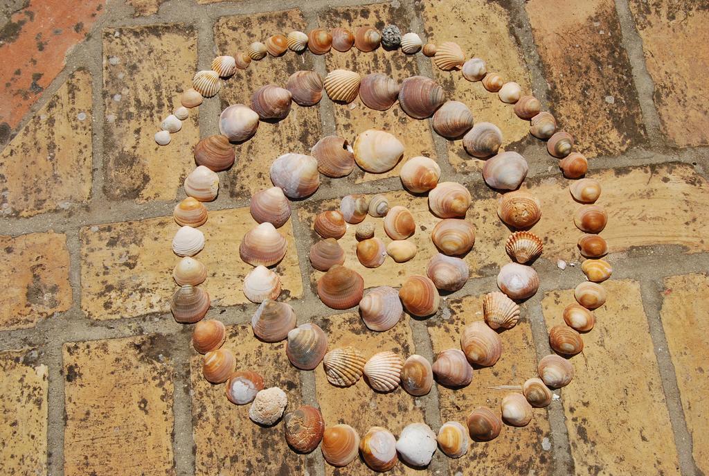 Pensjonat Casa Leonor Vejer de la Frontera Zewnętrze zdjęcie