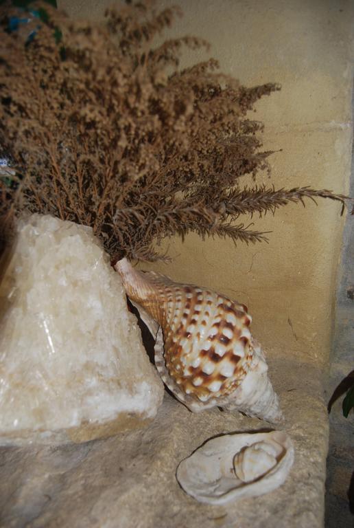 Pensjonat Casa Leonor Vejer de la Frontera Zewnętrze zdjęcie
